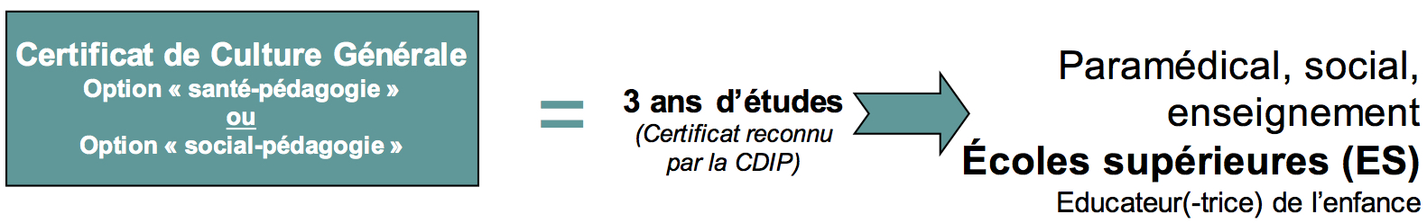 debouches ecg